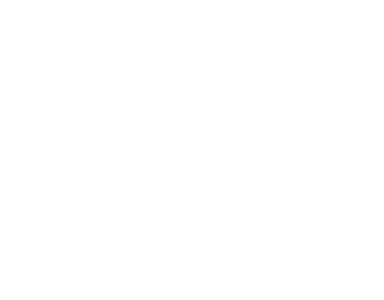 Autismo Puebla A.C.