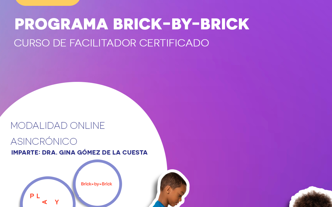 Programa Brick-by-Brick