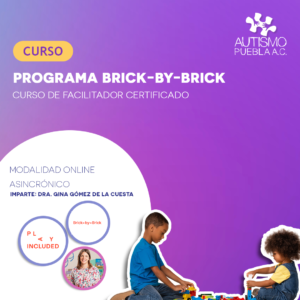 Programa Brick-by-Brick
