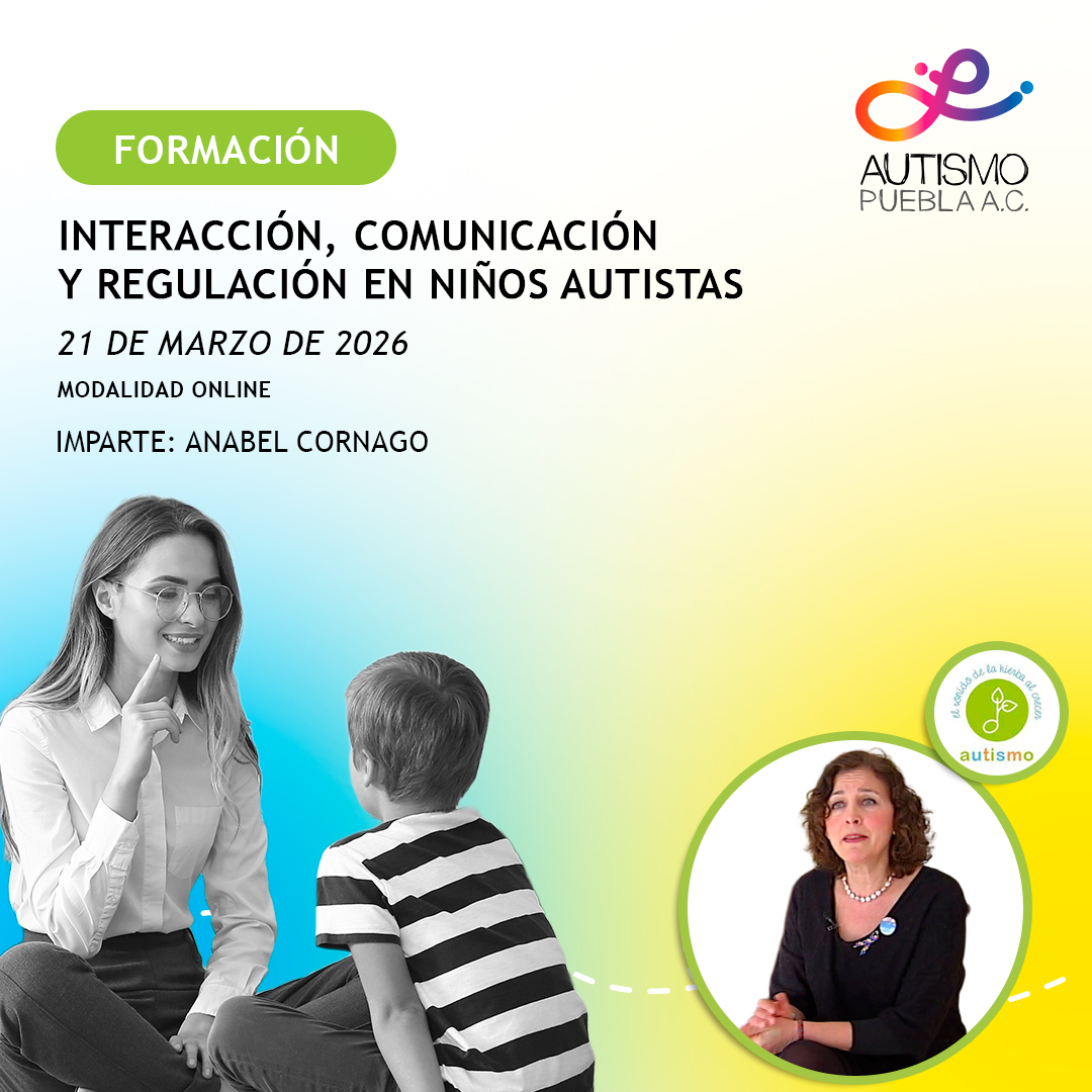 Interacción, comunicación y regulación en niños autistas 